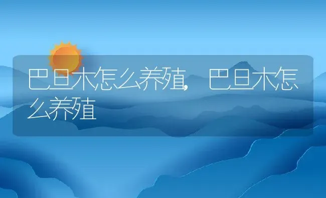 巴旦木怎么养殖,巴旦木怎么养殖 | 养殖常见问题