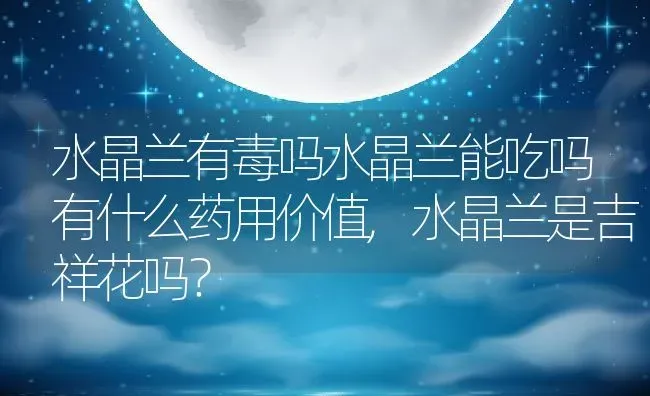 水晶兰有毒吗水晶兰能吃吗有什么药用价值,水晶兰是吉祥花吗？ | 养殖常见问题