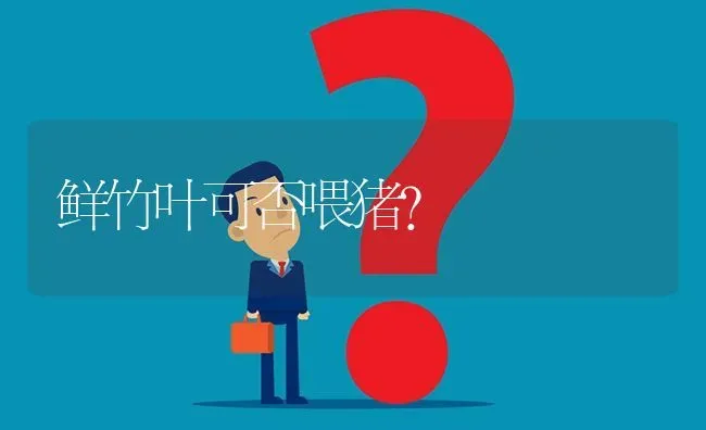 鲜竹叶可否喂猪? | 养殖问题解答