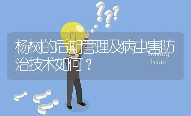 杨树的后期管理及病虫害防治技术如何? | 养殖问题解答