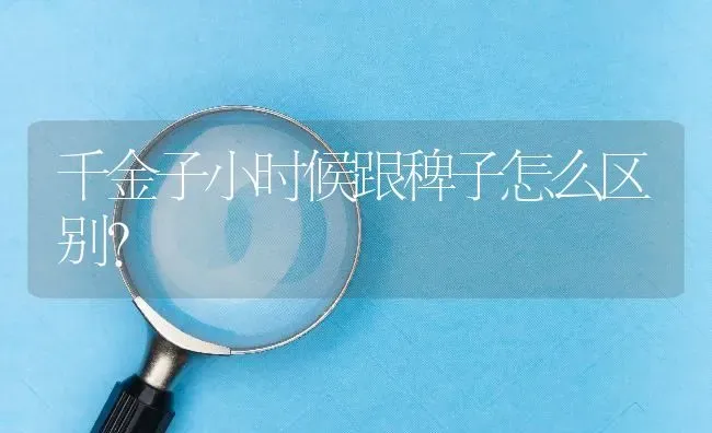 千金子小时候跟稗子怎么区别? | 养殖问题解答