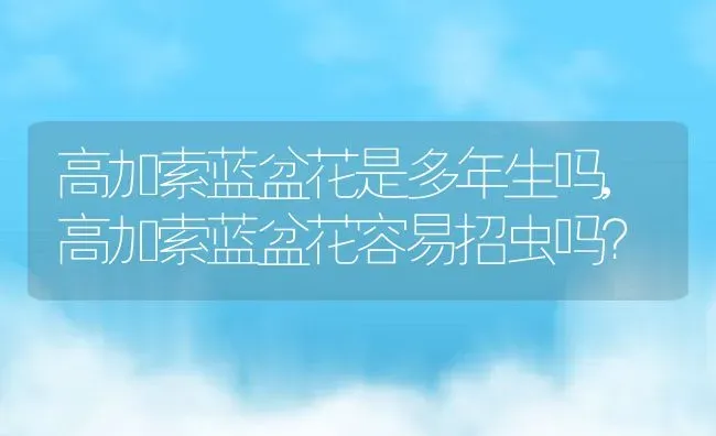 高加索蓝盆花是多年生吗,高加索蓝盆花容易招虫吗？ | 养殖常见问题