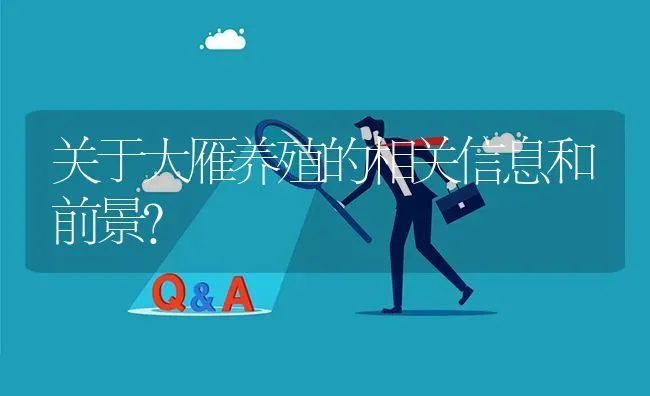 关于大雁养殖的相关信息和前景? | 养殖问题解答