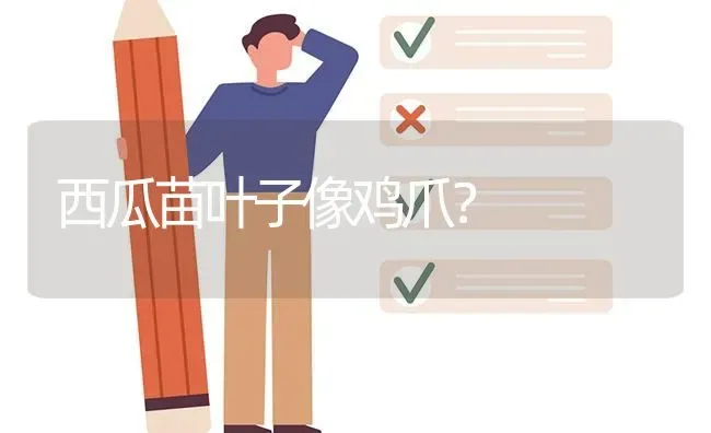 西瓜苗叶子像鸡爪? | 养殖问题解答