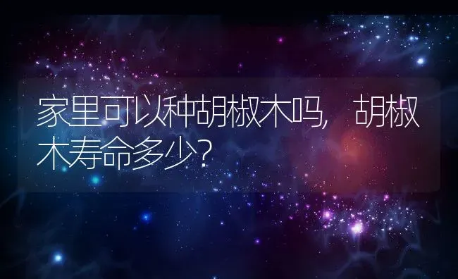 家里可以种胡椒木吗,胡椒木寿命多少？ | 养殖常见问题