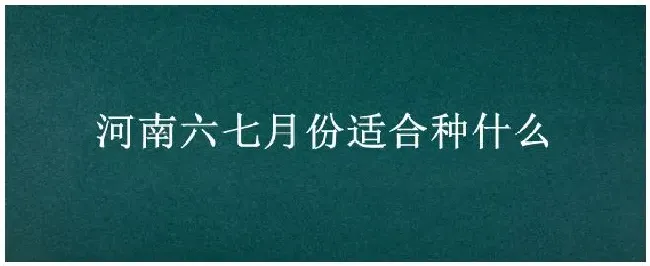 河南六七月份适合种什么 | 三农问答