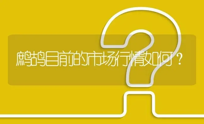 鹧鸪目前的市场行情如何? | 养殖问题解答