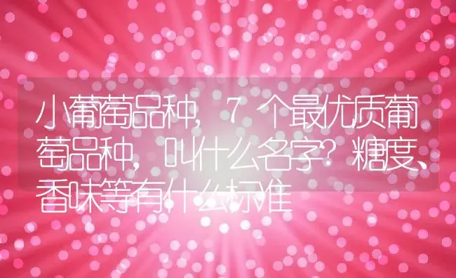 小葡萄品种,7个最优质葡萄品种，叫什么名字?糖度、香味等有什么标准 | 养殖常见问题