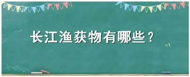 长江渔获物有哪些 | 农业问题