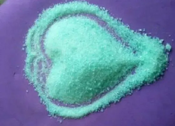 植物常识问题|硫酸亚铁怎么养兰花叶片油绿光泽