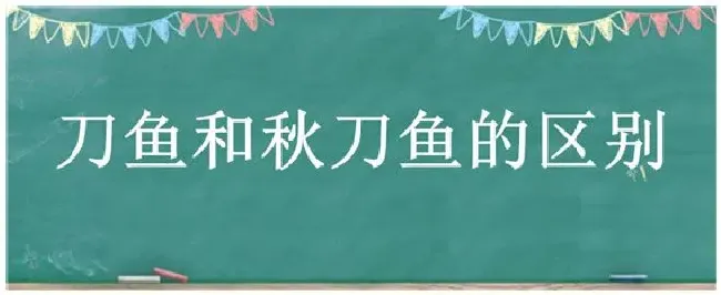 刀鱼和秋刀鱼的区别 | 农业常识