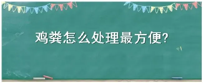 鸡粪怎么处理最方便 | 三农问答