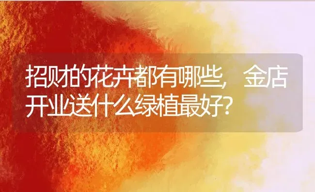 招财的花卉都有哪些,金店开业送什么绿植最好？ | 养殖常见问题