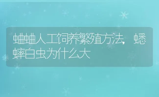 蛐蛐人工饲养繁殖方法,蟋蟀白虫为什么大 | 养殖常见问题