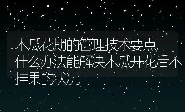 木瓜花期的管理技术要点,什么办法能解决木瓜开花后不挂果的状况 | 养殖常见问题