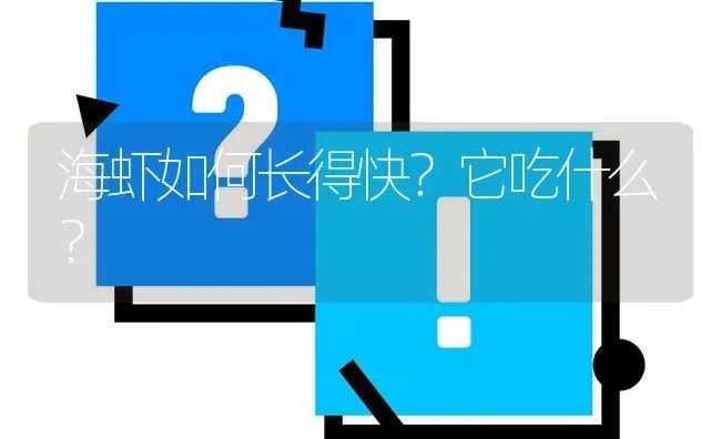 海虾如何长得快?它吃什么? | 养殖问题解答