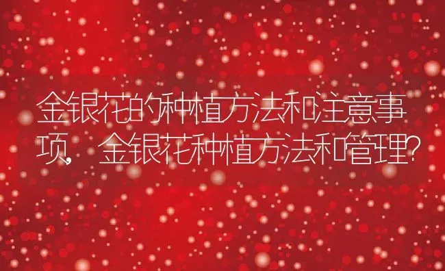金银花的种植方法和注意事项,金银花种植方法和管理？ | 养殖常见问题