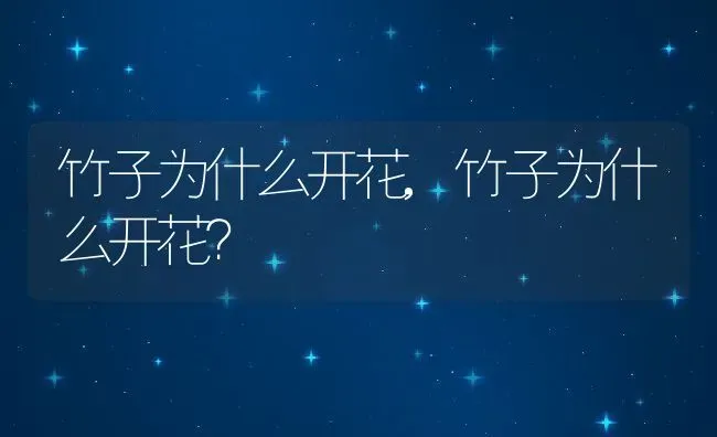 竹子为什么开花,竹子为什么开花？ | 养殖常见问题