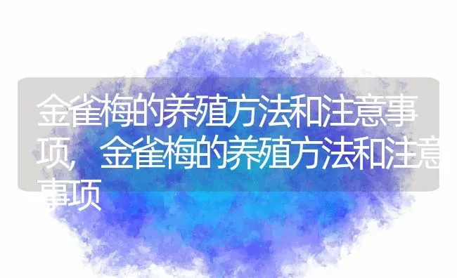 金雀梅的养殖方法和注意事项,金雀梅的养殖方法和注意事项 | 养殖常见问题