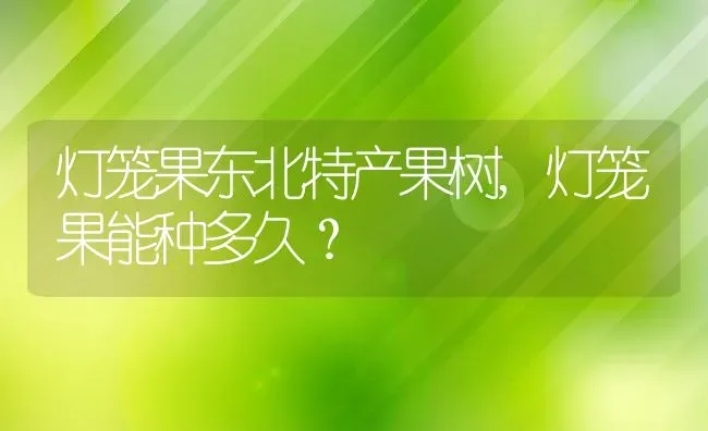 灯笼果东北特产果树,灯笼果能种多久？ | 养殖常见问题