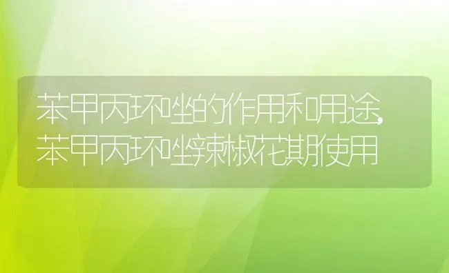 苯甲丙环唑的作用和用途,苯甲丙环唑辣椒花期使用 | 养殖常见问题