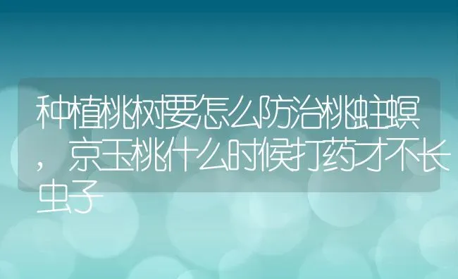 种植桃树要怎么防治桃蛀螟,京玉桃什么时候打药才不长虫子 | 养殖常见问题