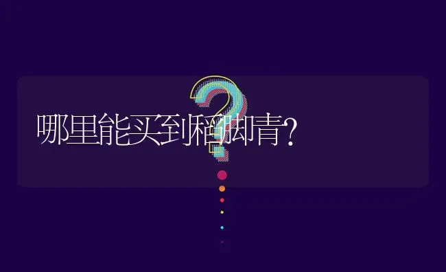 哪里能买到稻脚青? | 养殖问题解答