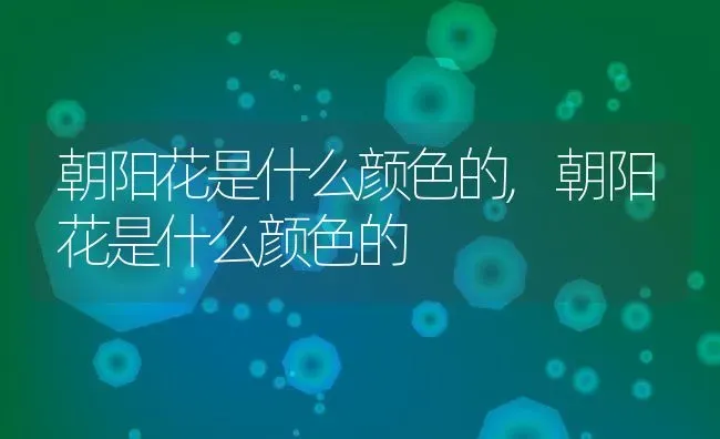 朝阳花是什么颜色的,朝阳花是什么颜色的 | 养殖常见问题