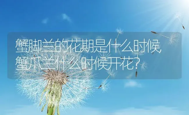 蟹脚兰的花期是什么时候,蟹爪兰什么时候开花？ | 养殖常见问题