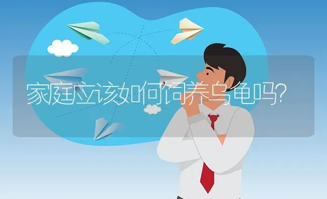 家庭应该如何饲养乌龟吗? | 养殖问题解答