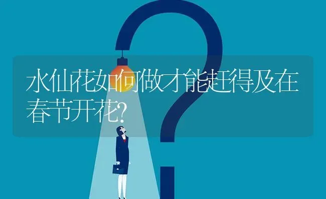 水仙花如何做才能赶得及在春节开花? | 养殖问题解答