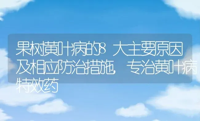 果树黄叶病的8大主要原因及相应防治措施,专治黄叶病特效药 | 养殖常见问题