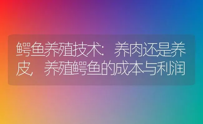 鳄鱼养殖技术:养肉还是养皮,养殖鳄鱼的成本与利润 | 养殖常见问题