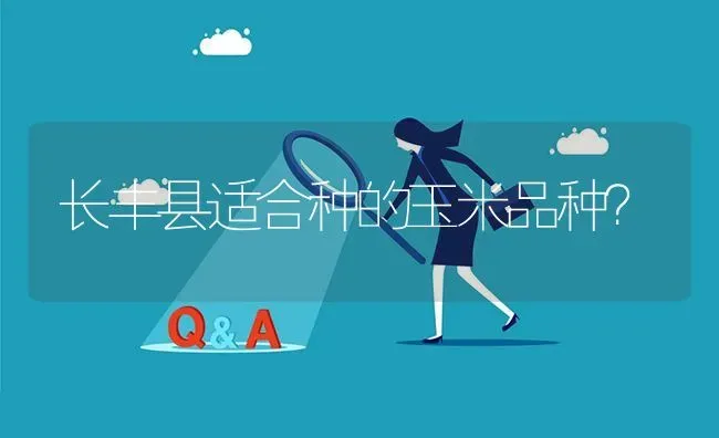 长丰县适合种的玉米品种? | 养殖问题解答