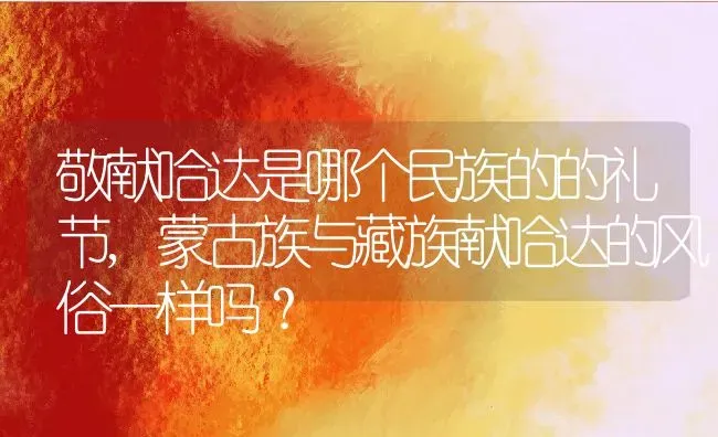 敬献哈达是哪个民族的的礼节,蒙古族与藏族献哈达的风俗一样吗？ | 养殖常见问题