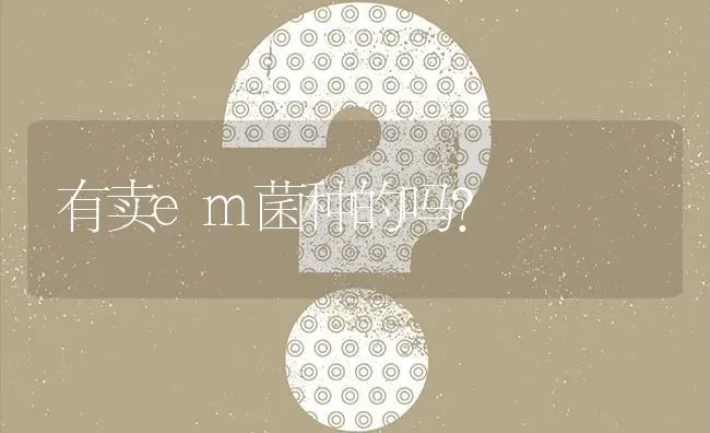有卖em菌种的吗? | 养殖问题解答