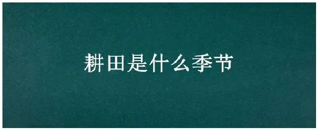 耕田是什么季节 | 生活常识