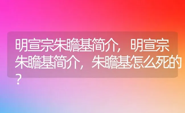 明宣宗朱瞻基简介,明宣宗朱瞻基简介，朱瞻基怎么死的？ | 养殖常见问题
