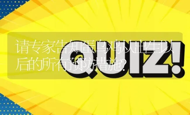 请专家告知蛋乌鸡从出生以后的所有预防措施? | 养殖问题解答