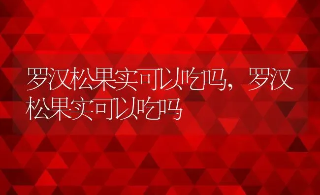 罗汉松果实可以吃吗,罗汉松果实可以吃吗 | 养殖常见问题