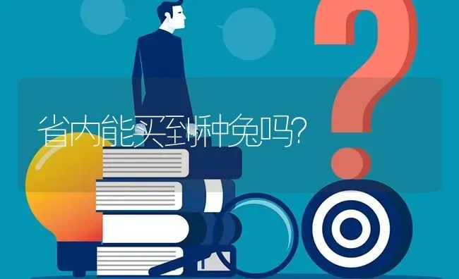省内能买到种兔吗? | 养殖问题解答