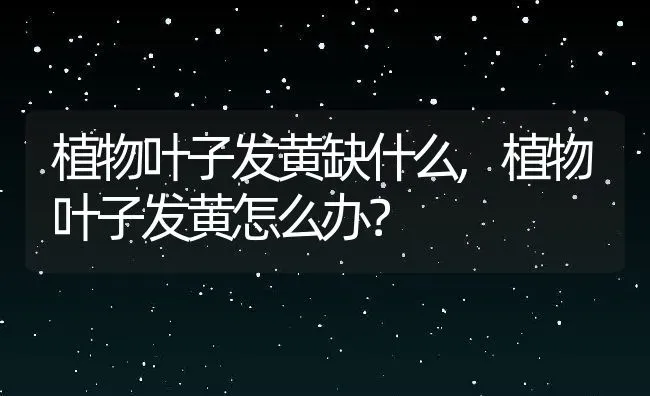 植物叶子发黄缺什么,植物叶子发黄怎么办？ | 养殖常见问题