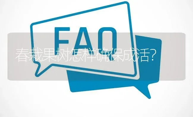 春栽果树怎样确保成活? | 养殖问题解答