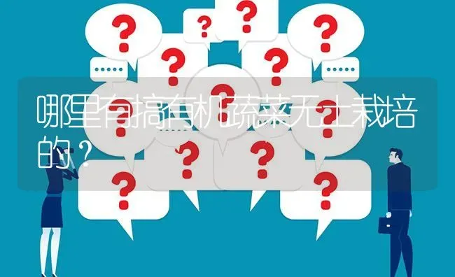 哪里有搞有机蔬菜无土栽培的? | 养殖问题解答