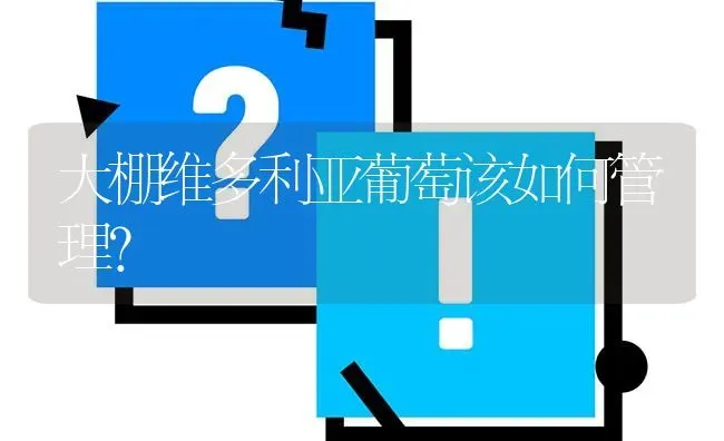 大棚维多利亚葡萄该如何管理? | 养殖问题解答