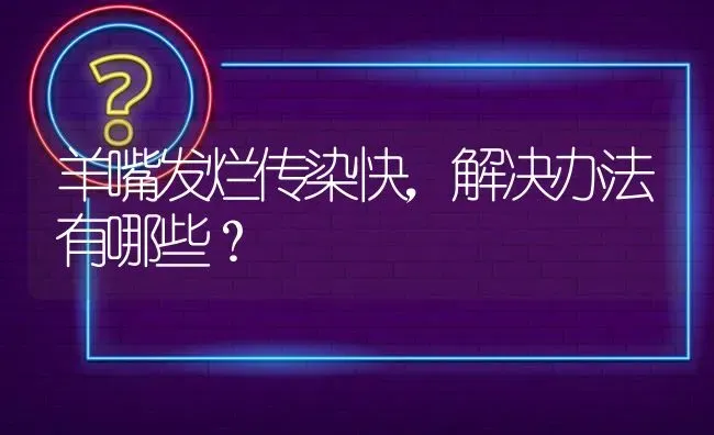 羊嘴发烂传染快,解决办法有哪些? | 养殖问题解答