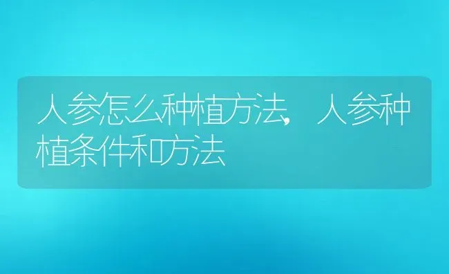 人参怎么种植方法,人参种植条件和方法 | 养殖常见问题