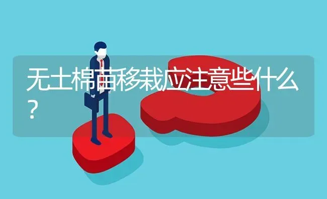 无土棉苗移栽应注意些什么? | 养殖问题解答