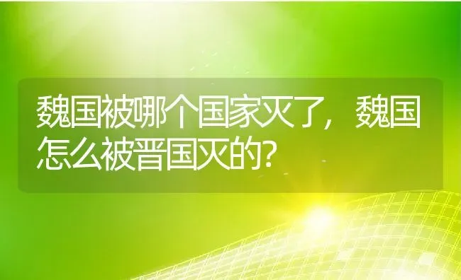 魏国被哪个国家灭了,魏国怎么被晋国灭的？ | 养殖常见问题