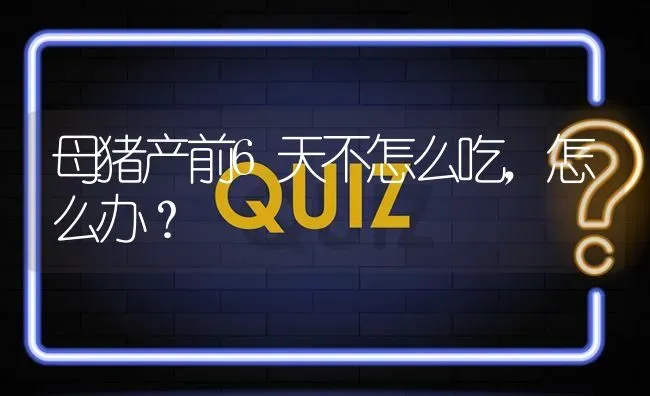 母猪产前6天不怎么吃,怎么办? | 养殖问题解答